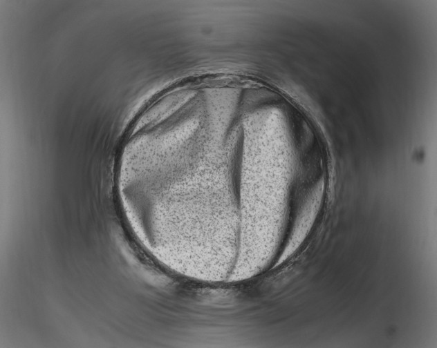 X0000116780107201001071245