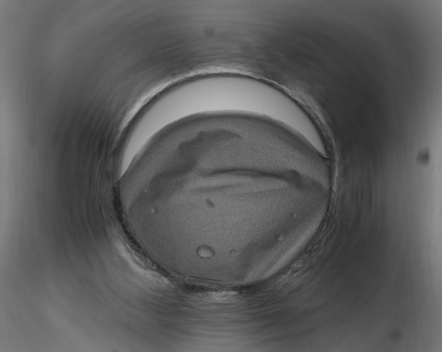 X0000116780108201001071245