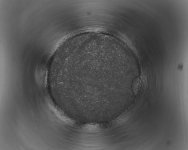 X0000116780110201001071245