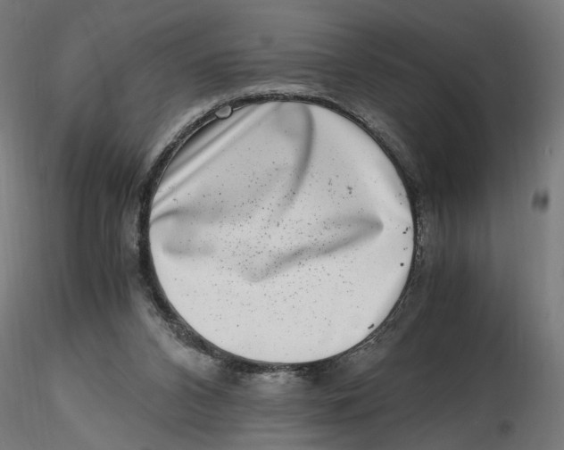 X0000116780112201001071245