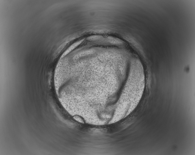 X0000116780115201001071245