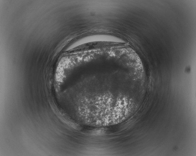 X0000116780116201001071245