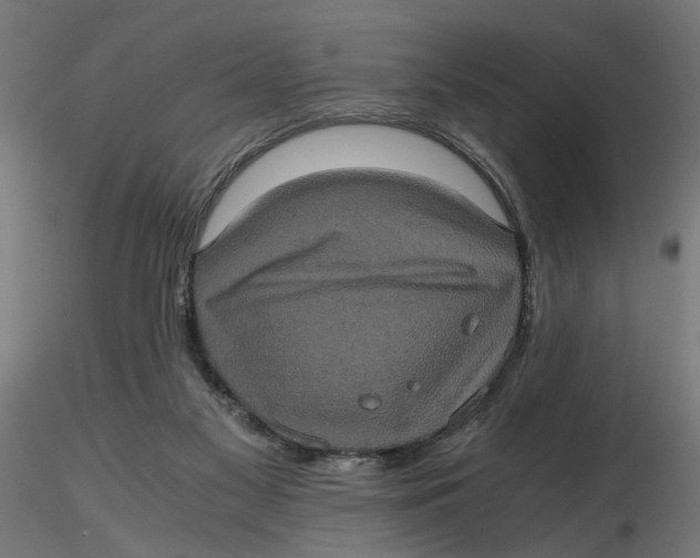 X0000116780117201001071245