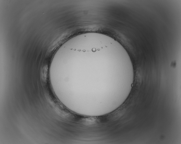 X0000116780118201001071245