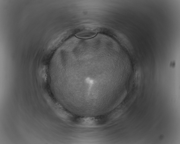 X0000116780121201001071245