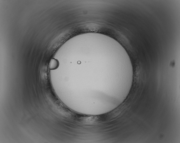 X0000116780122201001071245