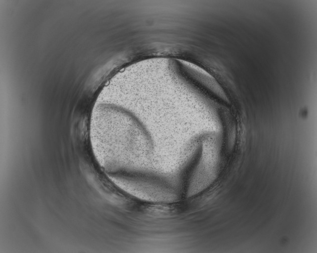 X0000116780123201001071245