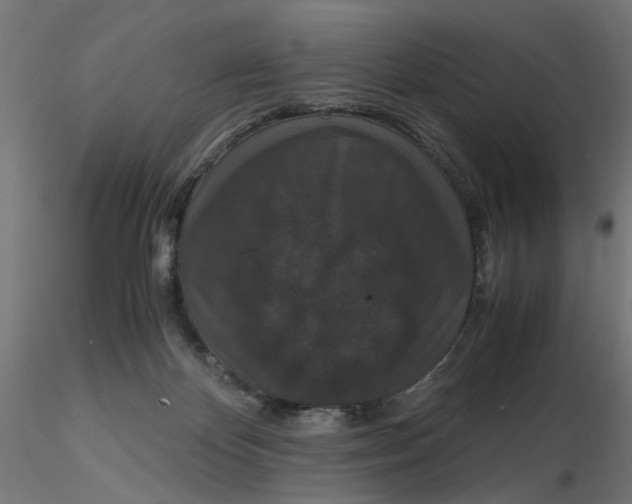 X0000116780124201001071245