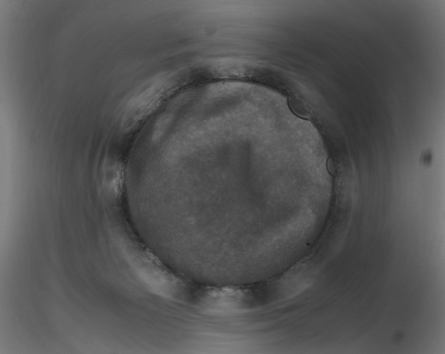 X0000116780125201001071245