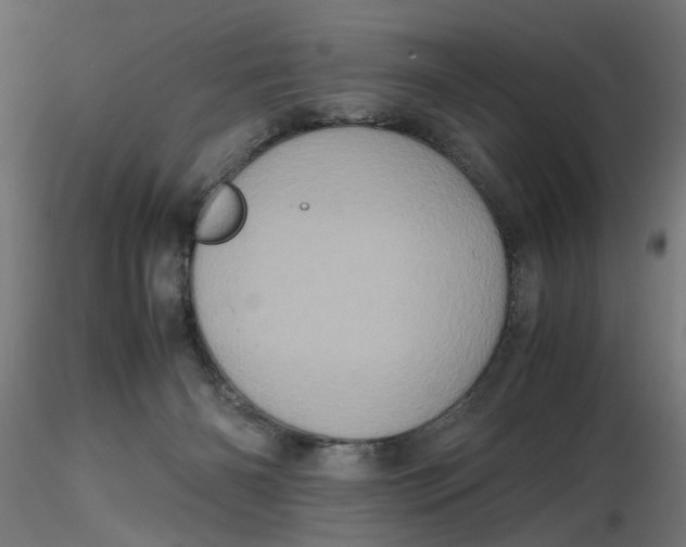 X0000116780126201001071245