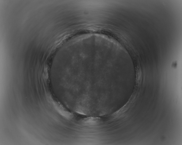 X0000116780128201001071245