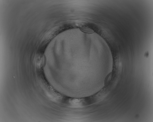 X0000116780129201001071245