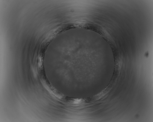 X0000116780130201001071245