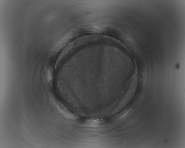 X0000116780131201001071245