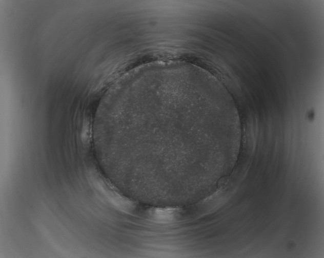 X0000116780134201001071245