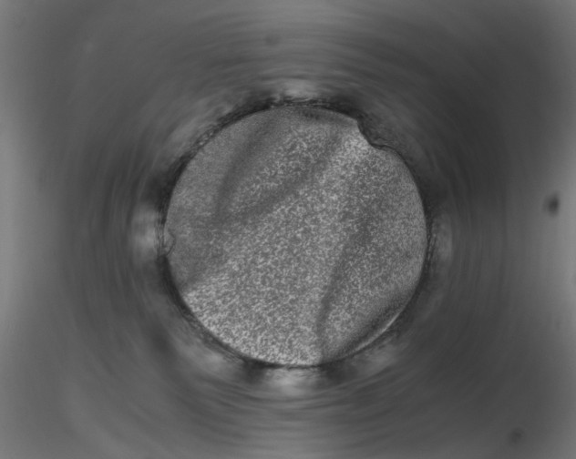 X0000116780135201001071245