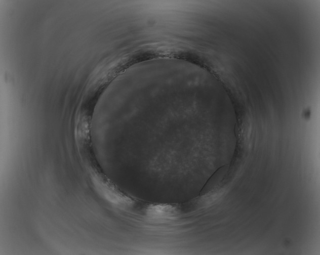 X0000116780137201001071245