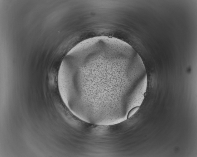 X0000116780138201001071245