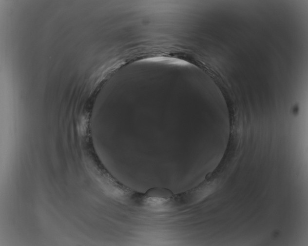 X0000116780139201001071245