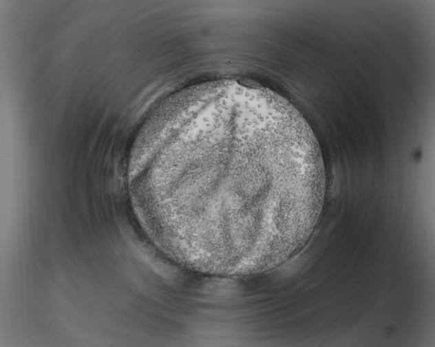 X0000116780140201001071245