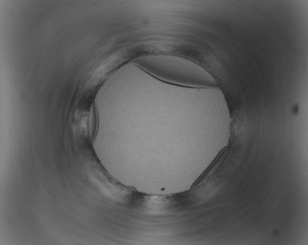 X0000116780141201001071245