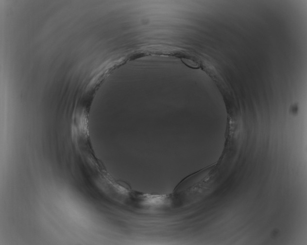 X0000116780143201001071245