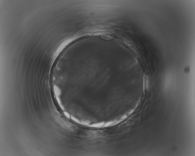 X0000116780147201001071244