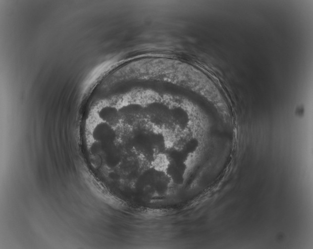 X0000116780149201001071244