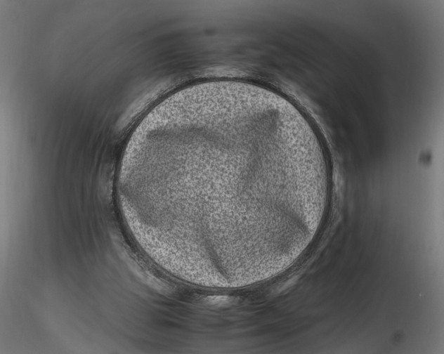 X0000116780153201001071244