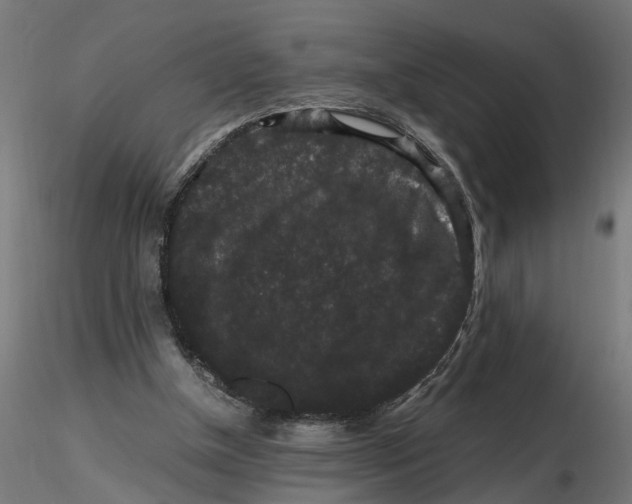 X0000116780154201001071244