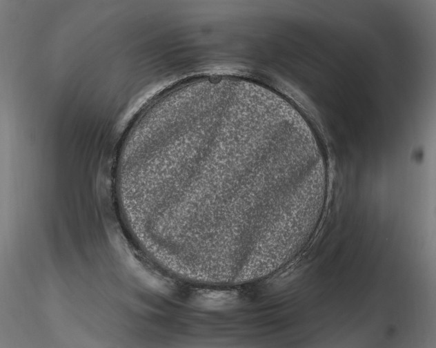 X0000116780155201001071244