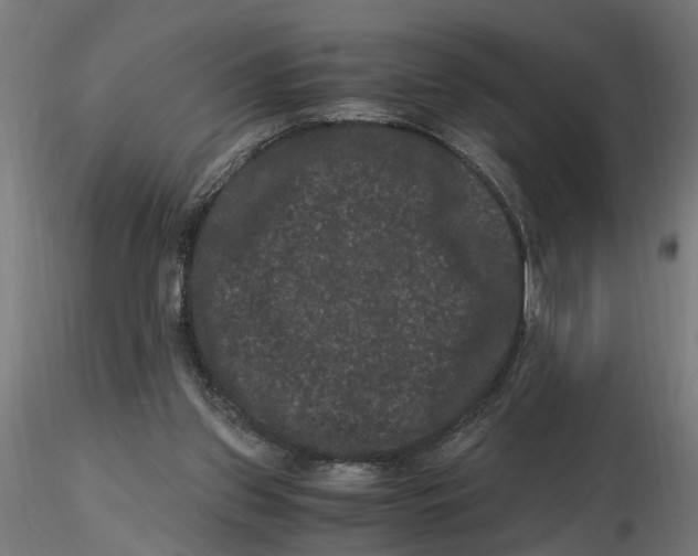 X0000116780157201001071244