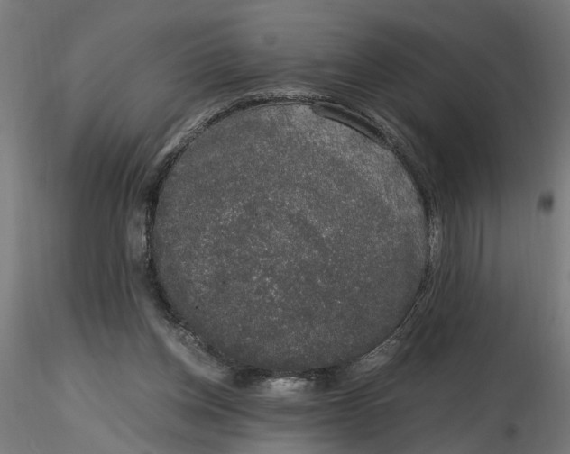 X0000116780158201001071244