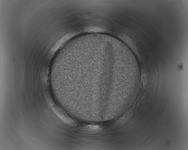 X0000116780159201001071244