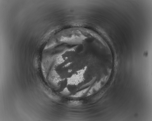 X0000116780161201001071244