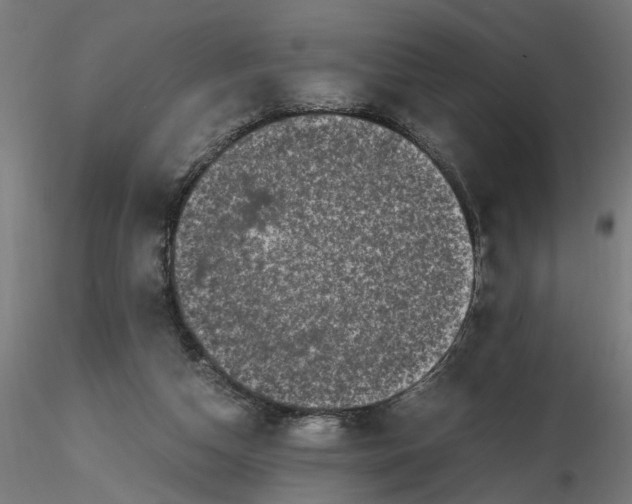 X0000116780162201001071244