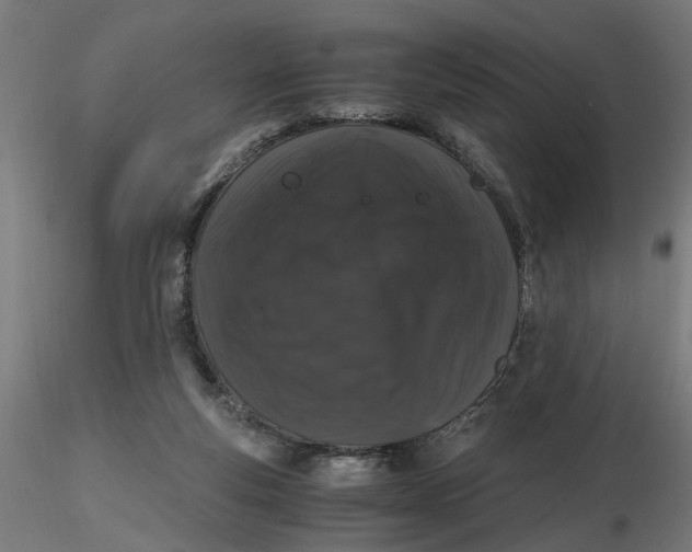 X0000116780163201001071244