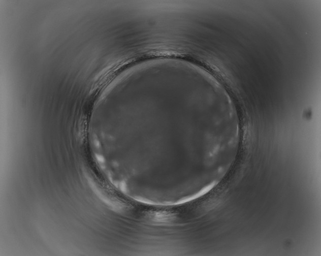 X0000116780165201001071244