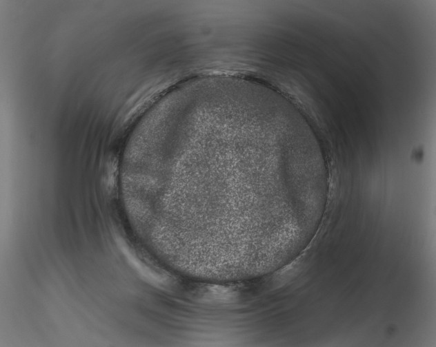 X0000116780166201001071244