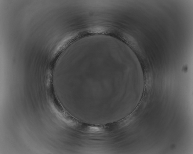 X0000116780167201001071244