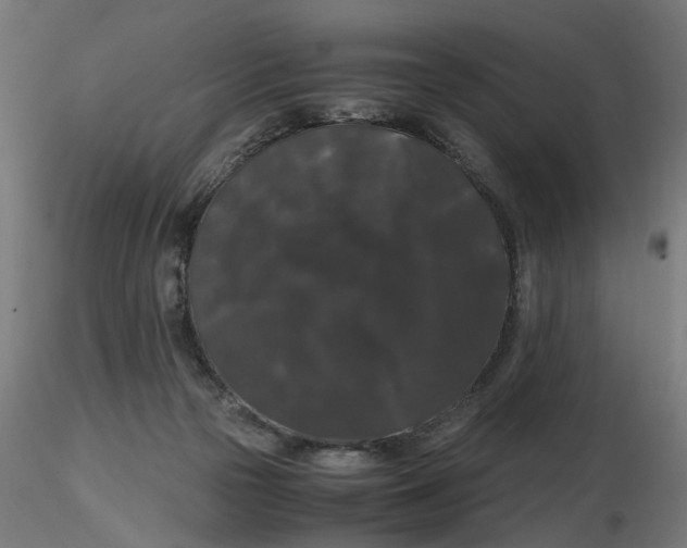 X0000116780169201001071244