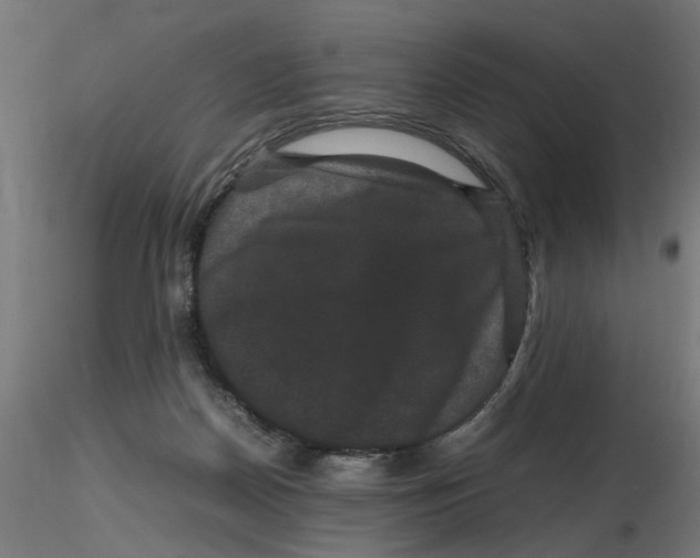 X0000116780170201001071244