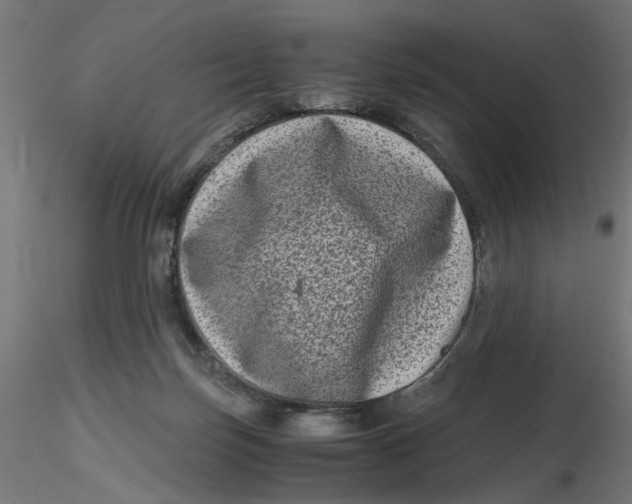 X0000116780171201001071244