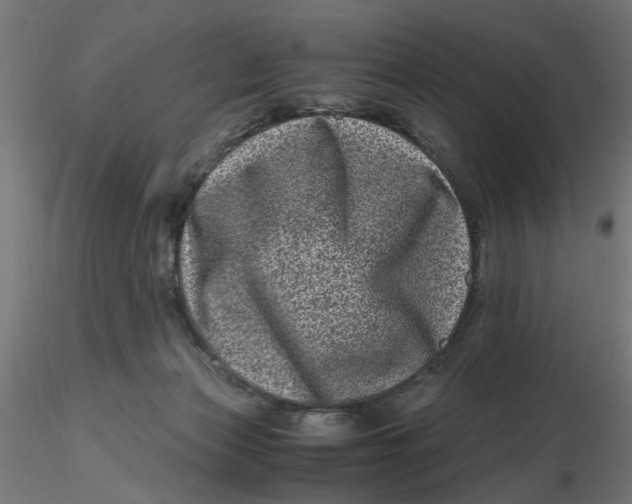 X0000116780173201001071244