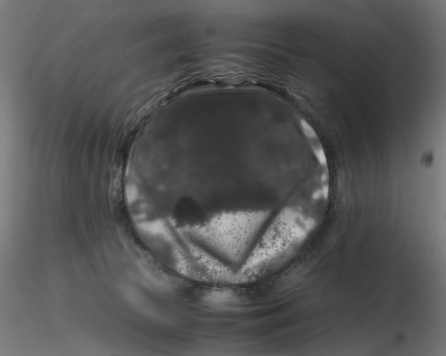 X0000116780177201001071244