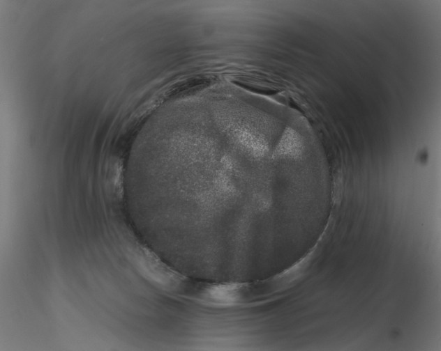 X0000116780178201001071244