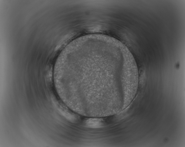 X0000116780179201001071245