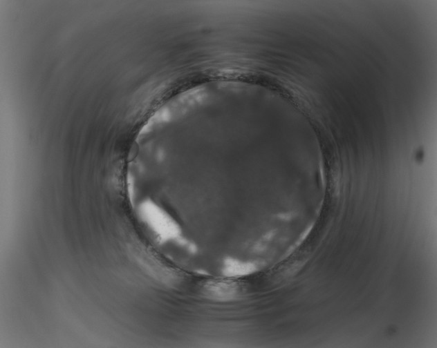 X0000116780181201001071245