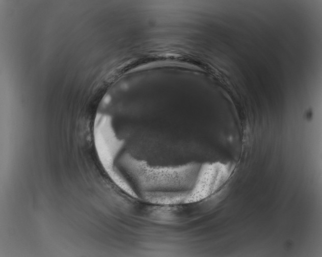 X0000116780182201001071245