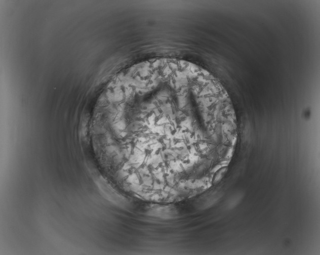 X0000116780185201001071245